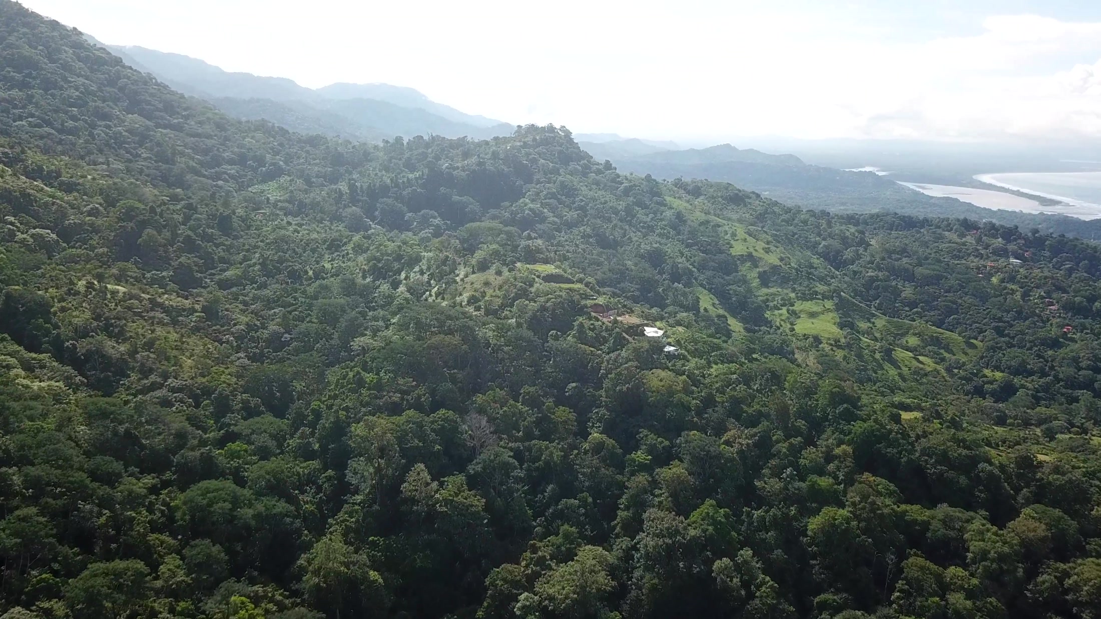 Panoramic ridge of the estate over the coastline