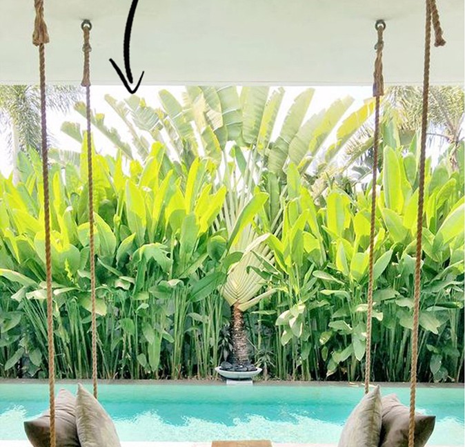 Hanging daybed beside a private villa pool with tropical garden