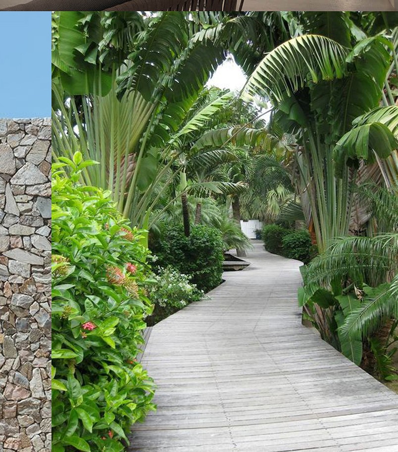 Timber boardwalk winding through tropical gardens